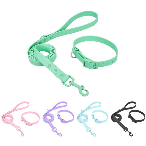 Abbigliamento per cani Collar per animali domestici di lusso e set di guinzaglio PVC Waterproof Purple Strap Regolable per forniture di accessori piccoli medi 230814