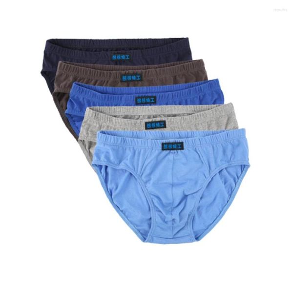 Underpants 4pcs/più lote slip da uomo in cotone plus size uomini mutande bianche