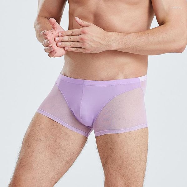 Underpants Men Intwear Transparent busta mutandine elastiche erotiche Hombre Lingerie Trunks