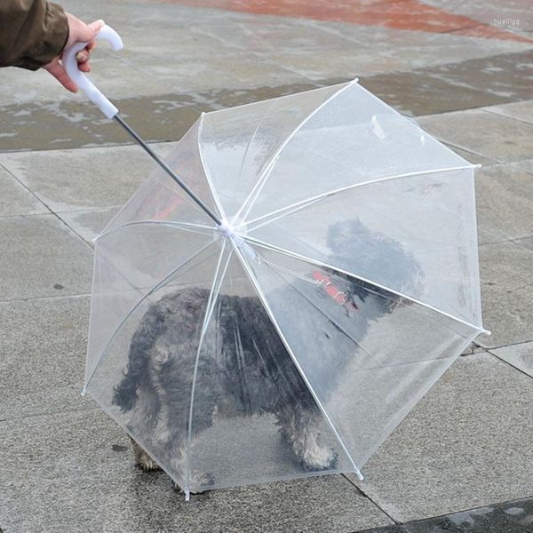 Abbigliamento per cani ombrello ombrello trasparente poncho resistente all'assemblea del guinzaglio per forniture di protezione da neve della pioggia