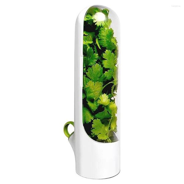 Aufbewahrungsflaschen Keeper Container hält Grün Gemüse Frisch Premium Clear Spice Kühlschrank Bewahrer Box Küchengeräte