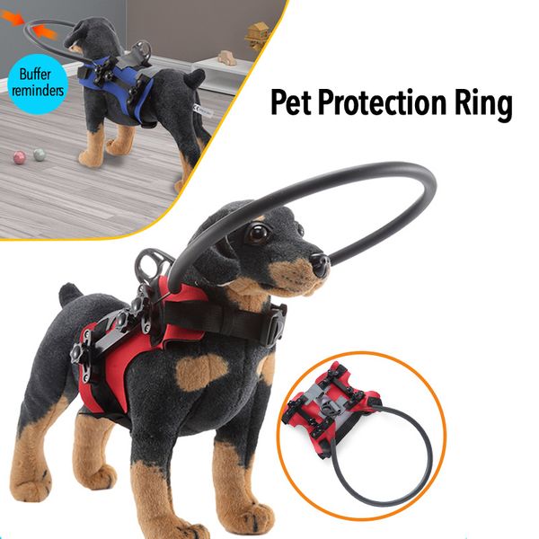 Abbigliamento per cani Pet Blind Anti Collision Anello di colletto Guida all'imbracatura Aiuti di addestramento per la guida Prevenire la collisione 230814