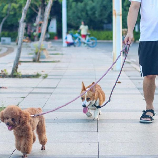 Colarinhos de cachorro youzi multifuncional nylon coleira dupla para cães de design de tira reflexiva de treinamento Médio grande