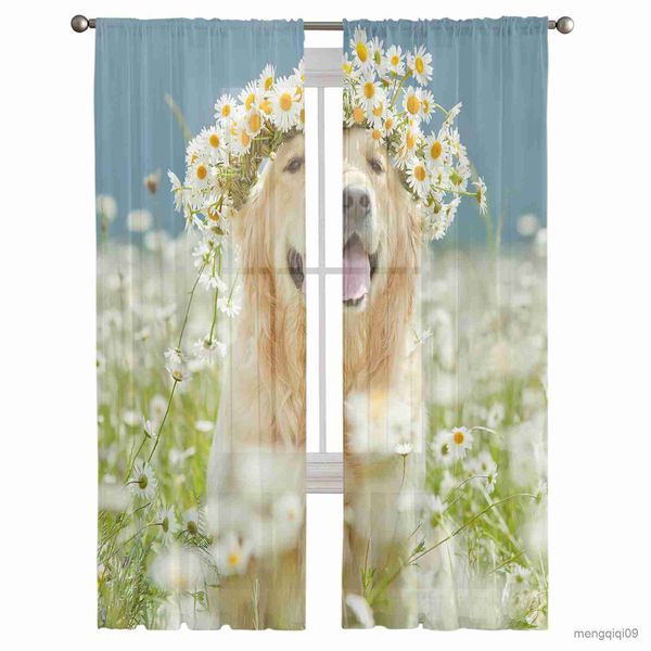 Vorhang Hund süße Gänseblümchen Blumen Schlafzimmer Tüll Vorhänge Hotel Home Decor transparente Vorhänge für Wohnzimmer Chiffon bedruckte Vorhänge