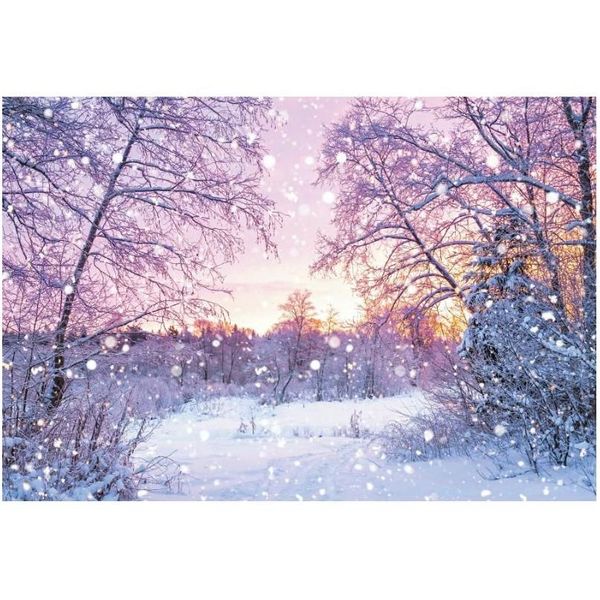 Украшение вечеринки Рождественский фон зимний лесной снег сцены сцены Пографический год.