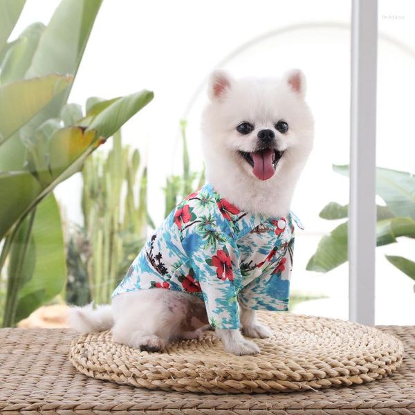 Abbigliamento per cani piccoli e medie dimensioni camicia ananas della camicia da pet hawaian gatto dorato golden retriever estate quattro vestiti