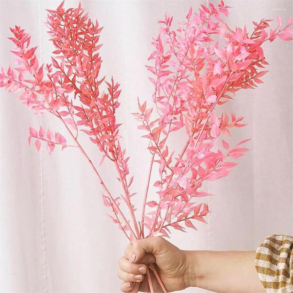 Fiori decorativi Eucalipto Eucalipto Pink Bianco Italiano Ruscus Bulk Naturale Foglie di piante conservate fresche per decorazioni Boho Weddings Vase