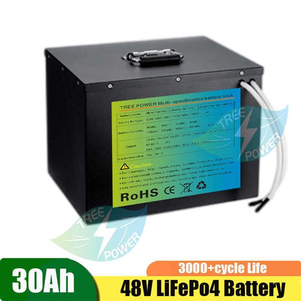 Batteria ricaricabile a 48 V LifePO4 Ciclo profondo al litio Batteria ricaricabile di grande capacità con BMS 3000+cicli