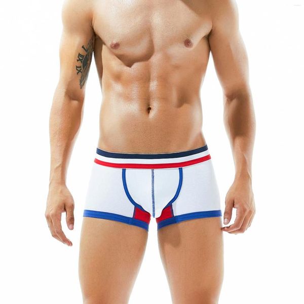 Underpants Seobean Men Boxer Wholesale Sexy