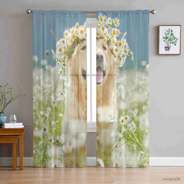 Vorhang Hund süße Gänseblümchenblumen Schlafzimmer Tüll Vorhänge Hotel Home Decor Sheer Hänge für Wohnzimmer Chiffon gedruckte Vorhänge R230816