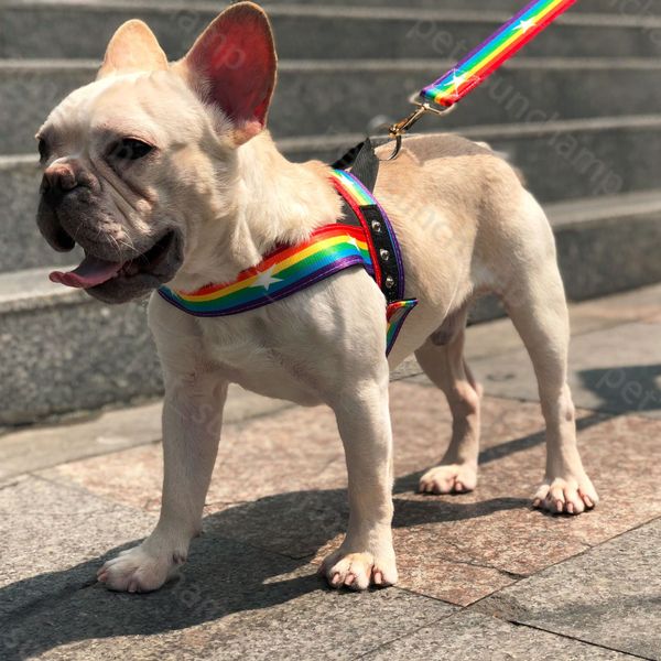 Stile arcobaleno imbracature per cani guinzaglio Set di cani da compagnia durevoli nobili esterni da esterno