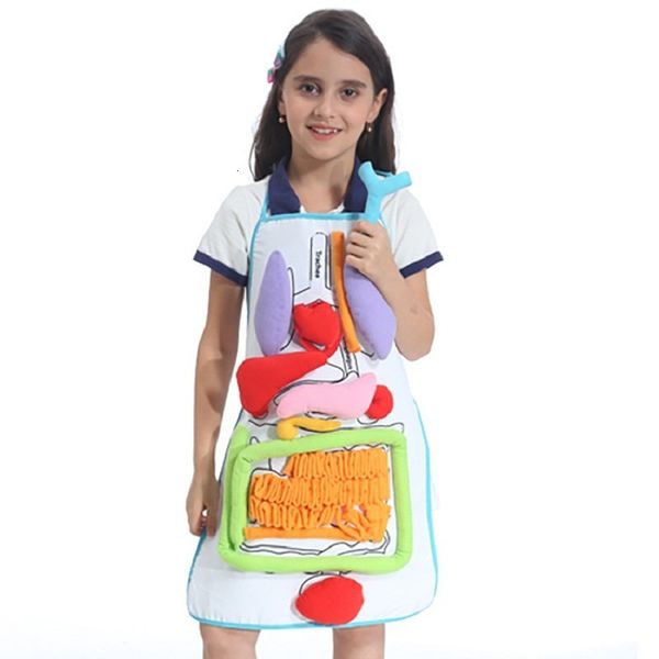 Science Discovery Anatomy Apron Apronte Organi umani Organi Educational Insights Toys Preschool Home Insegnamento Assistenza per bambini per bambini 230816