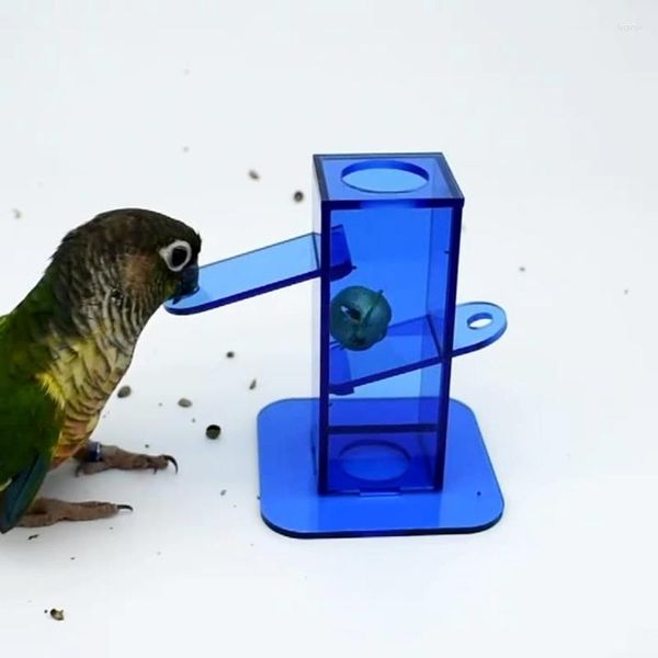 Andere Vogelversorgungen Futterspielzeug transparent blaue Acrylbox mit Goldmetall -Verbesserung Intelligenz für Papagei Cockatiel Shoteet