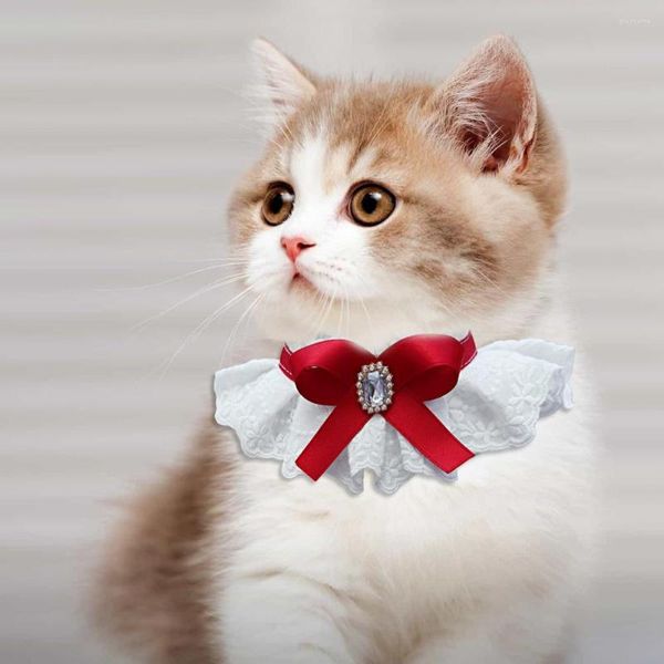 Collari per cani bavagie che catturano ormeggi decorazioni strass decorazioni con gatto gatti gatti cani bollari bowknot collo in pizzo floreale