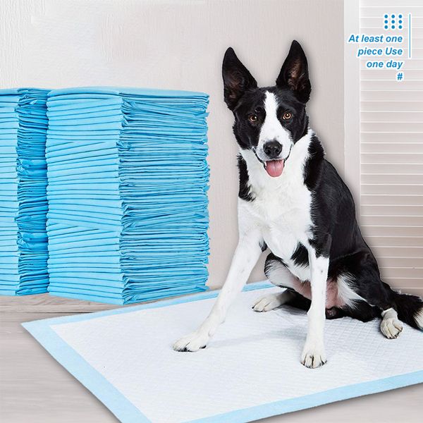 Kennels Stifte Super Saugabent Pet Windel Hundetraining Pee Pads für Katzen Windeln Käfigmatte Einweg gesunde Windelzubehör 230816