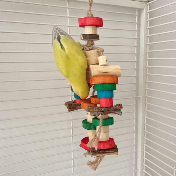 Outros pássaros abastecem brinquedo com materiais naturais ocultos para o desenvolvimento da inteligência de um desenvolvimento de mordidos de grava de papagaio divertido