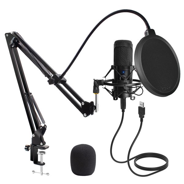 Microfones USB Microfone Condenser D80 Gravação com Stand e Ring Light para PC Karaoke Streaming Podcasting 230816