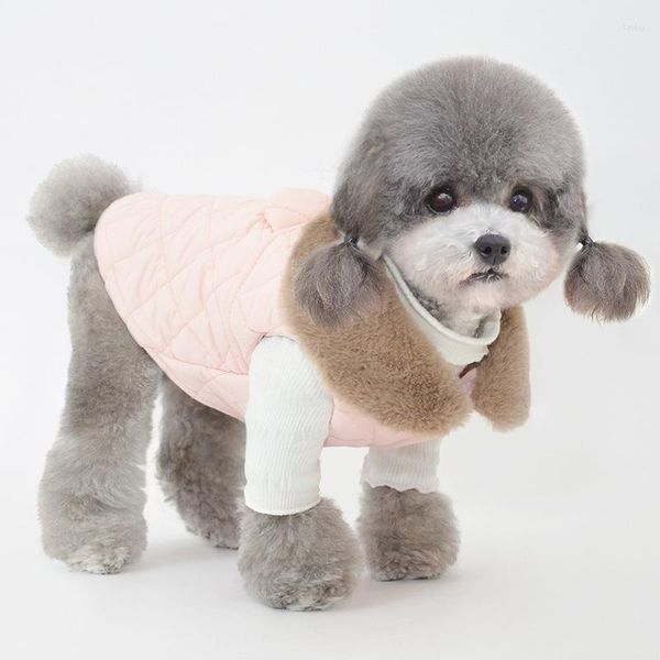 Roupas de vestuário de cachorro Autumn e Winter Pet Clothing Dress Cotton Dress Cat Gato vestes de pelúcia de pelúcia