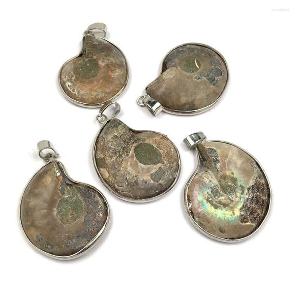 Colares pendentes naturais de pedras semi-preciosas em forma de caracol em forma de caracol, jóias de charme de casca, fabricação de jóias de colar de animais diy minerais de amostras minerais