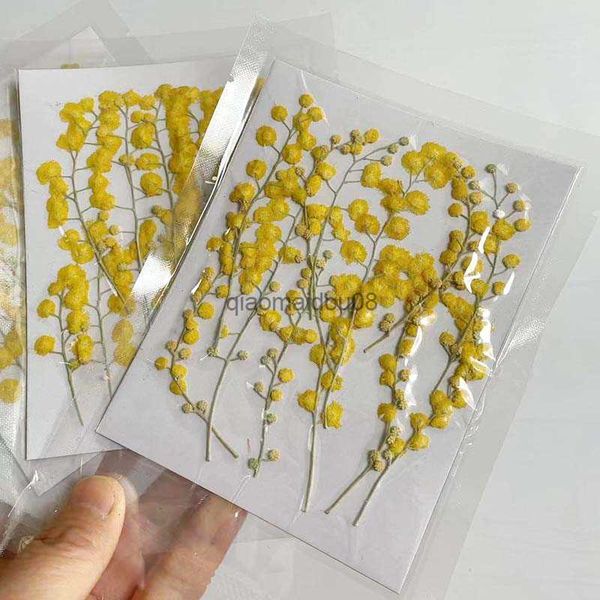 Fiori decorativi ghirlande 3-10 cm/12pc Fiori secchi pressati naturali Acacia piccoli rami per babysborth per la custodia del telefono di gioielli in resina fai-da-te HKD230818