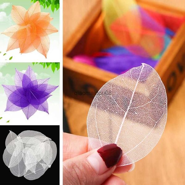 Flores decorativas grinaldas 100pcs Naturais de esqueletos folhas de folhas materiais artesanais de arte seca Diy Wedding Party Home Decoration Bookmarks Acessórios HKD230818