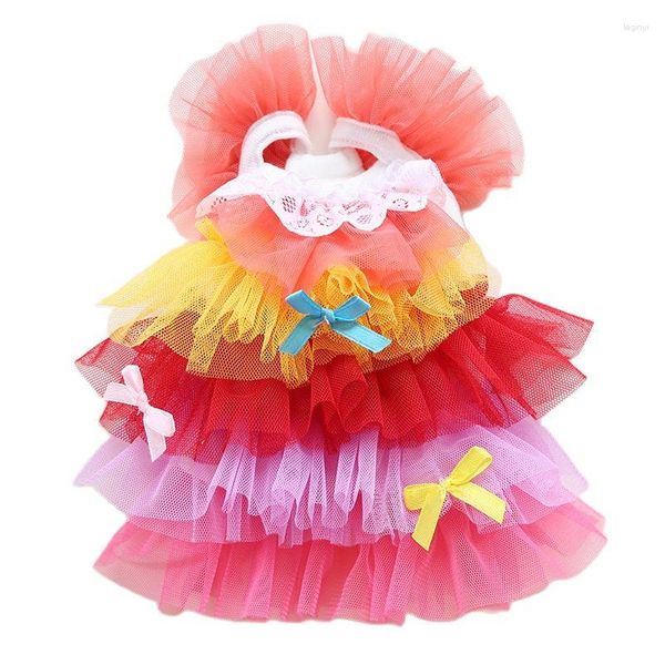 Abbigliamento per cani Abito estivo per cani Sexy Gradient Mesh Gonna Cake Sweet Tulle Pet Cagt Cat