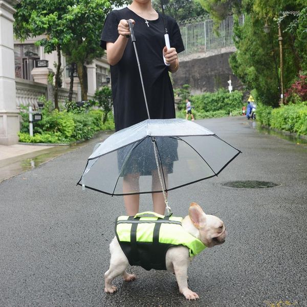 Abbigliamento per cani pioggia sparsa di medie medie dimensioni medie jarre aero toro pug orsacchio