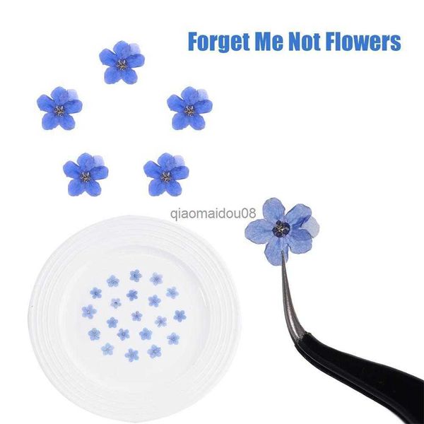 Flores decorativas grinaldas 20pcs azul se esqueça de mim, não flores para arte de arte artesanal de artesanato epóxi jóia de jóias de unhas de florest