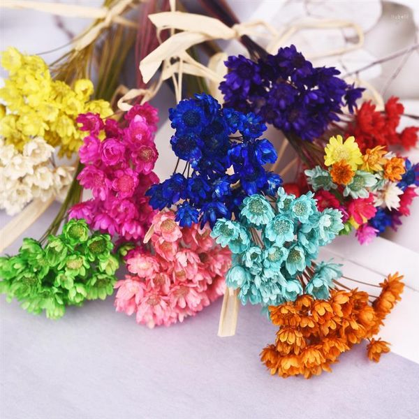 Dekorative Blumen getrocknete natürliche Pflanzen Babybreath Dekoration erhalten farbenfrohe echte frische Mini -Blumenstrauß kleines Blumenhaus