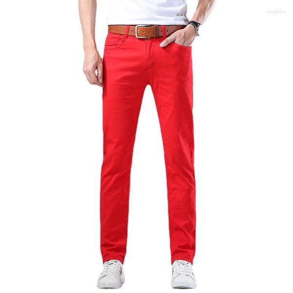 Herren Jeans 2023 Frühling Slim Classic Style Straight Elastizität Baumwolle Denimhose Männliche Marke Weine Rot schwarz weiße Hose