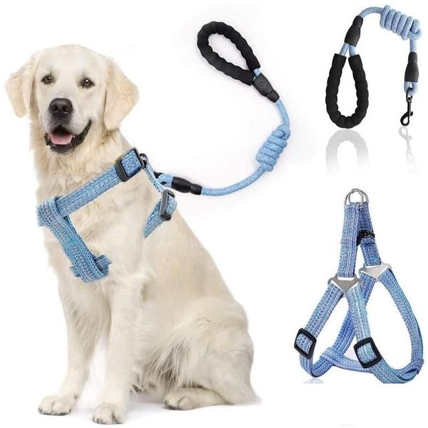 Colarinho de cachorro colaresh churness colher corda conjunto cães ajustáveis ​​tração nas costas do peito cachorro nylon pet durável em correia de corrente de caminhada ao ar livre dr dhnjm