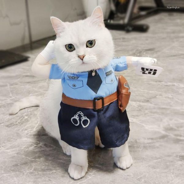 Abbigliamento per cani vestiti per gatto estate sottile e divertente vestito divertente britannico blu blu muppet jiafei gattini americani