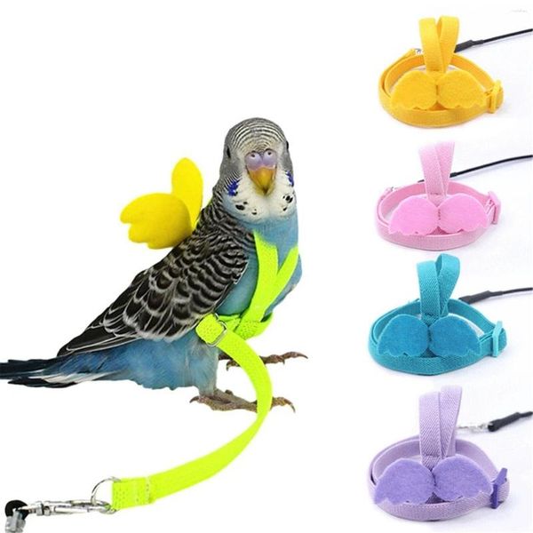 Altre forniture per uccelli che volano a piedi per piombo per piombo regolabile per pappagallo lungo imbracatura della cintura a fascia guinzaglio