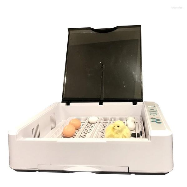Hühnchen-Inkubator EW-36 Ente und Vogelzuchtausrüstung Ei