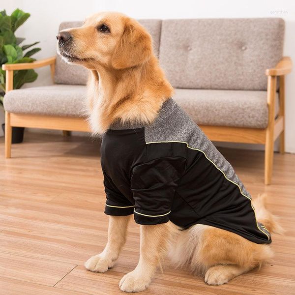 Abbigliamento per cani Abbigliamento sportivo con cappuccio inverno inverno giacca da abbigliamento samoyed Labrador Husky Golden Retriever Outfit