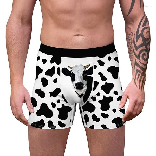 Underpants Mens Bishers divertenti Sliptomici umoristi biancheria intima 3D cune di novità stampato pantaloncini maschile mutandine comode comode