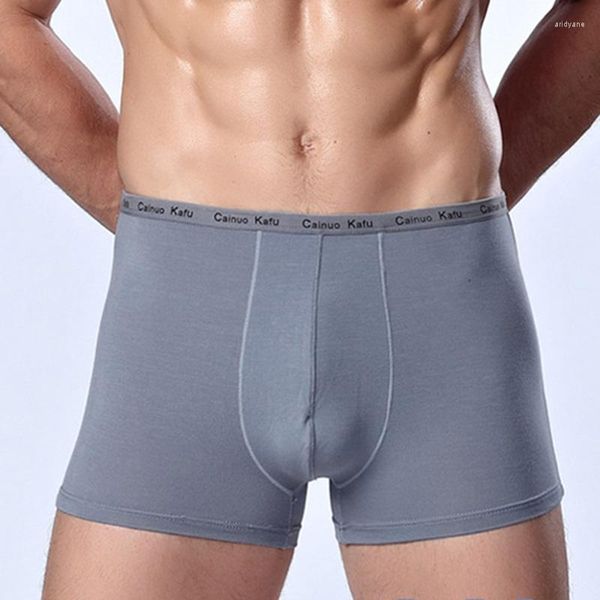 Underpants 5pcs di qualità Mens Underwear Classic Boxer Sale L-3xl 4xl 5xl