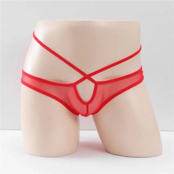 Underpants fasciati di tulle trasparenti divertenti mutande di mutande per ultratina