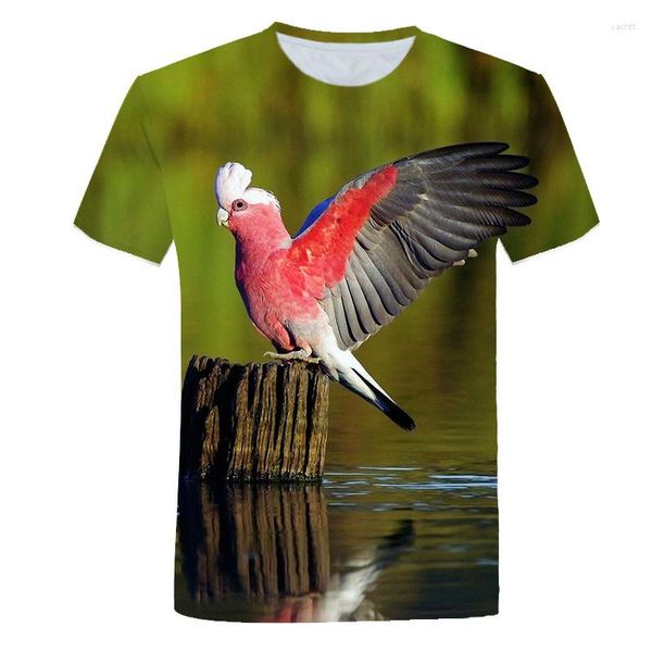 Мужские футболки T-рубашки Parrot Print Fit Thirt Hip Hop Tee Bird Animal 3D футболка Unisex Cool Street Негабаритная рубашка 5xl Casual Tops Clothing