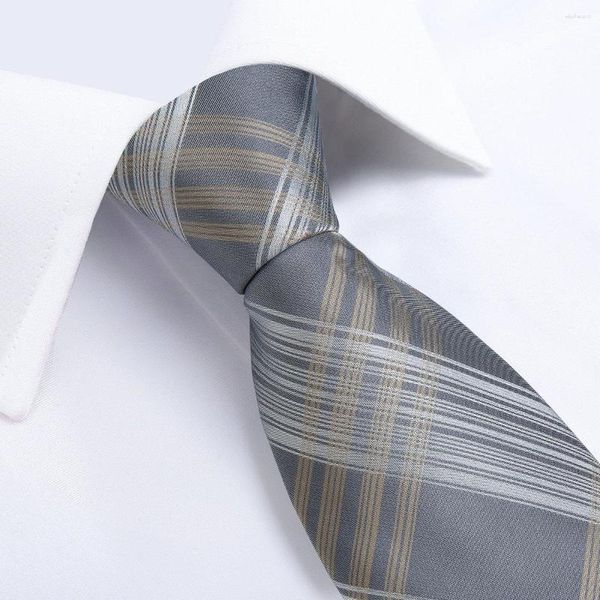 PASCHE TIE DUBULLE GRIGIO SILVER PLAID 2023 TRATTO DI SEGGIO PER UOMINO DI RAGAZZO MENS MAZIONE FAGGIO BUSTENTE DELLA PARTIZIONE DESIGNOTTO