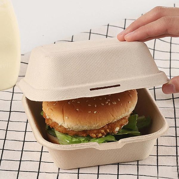 Nehmen Sie Container 20pcs Einweg-Lunchbox umweltfreundlich Bento Dessert Kuchen Hamburger Bäckerei Lebensmittel Container Mikrowellen-Home Lunchbox