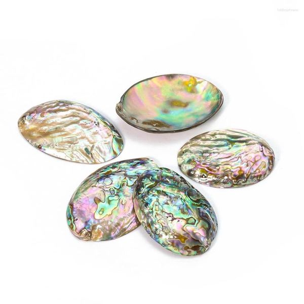 Colares pendentes 1pc Casca de abalone polida natural pingentes de jóias descobertas de jóias para fabricação de colar Acessórios de brinco de colar bandeja de exibição
