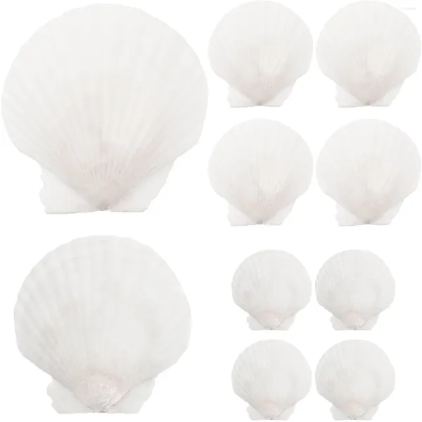 Vasos 10 PCs Decorações de oceano Artesanato de concha natural Fazendo ornamento de árvore de Natal Branco DIY Seaside