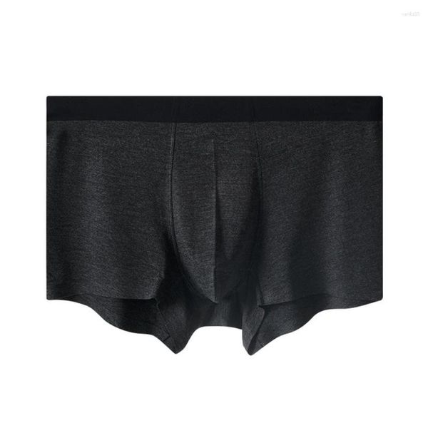 Underpants sexy Männer Höschen nahtlos Herbst Weichbeutel Boxer -Briefs atmungsaktive Unterwäsche Shorts Trunks Slip Homme