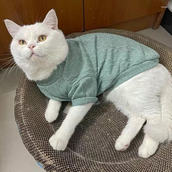 Costumi di gatto maglione in maglia carina per gatti katten gotas pullover inverno vestiti per animali domestici mascotas cuccioli abiti da cane ubranko dla kota
