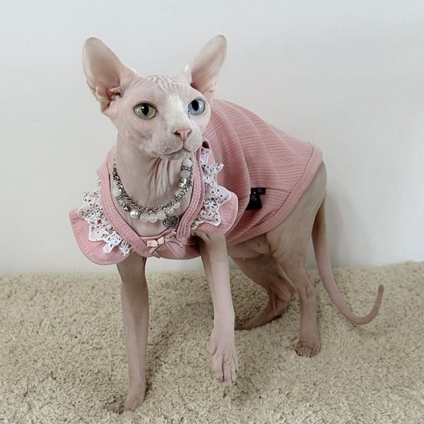 Kedi Kostümleri Giysiler Kayma Elbise Dantel Floral Etek Sfinx Devon Rex Tatlı Askı Pamuk Yelek İlkbahar Yaz Dış Giyim