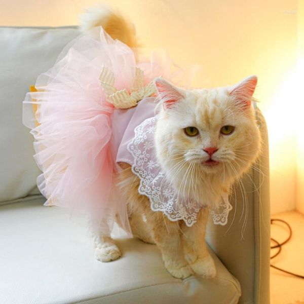 Fantasias de gato roupas de cachorro pequenos vestidos de princesa vestidos de baile de casamento para bichon puplover figurping po-props