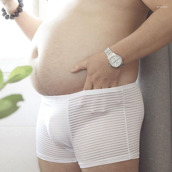 Bolleri a forma di U maschile da uomo Breta di lingerie sexy Chubby plus size di moda bianche