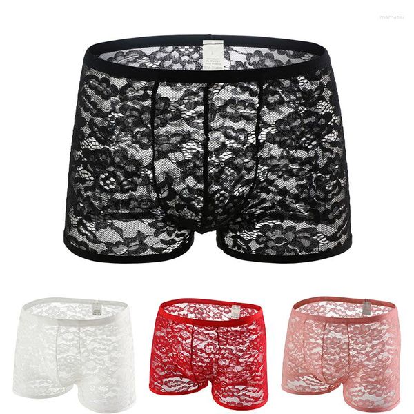 Cuecas Plus Size Mens Lace Malha Calcinha Sólida Hollow Floral Sexy Boxers Baixo Ascensão Slim Lift Hips Lingerie Transparente Penis Bolsa Shorts