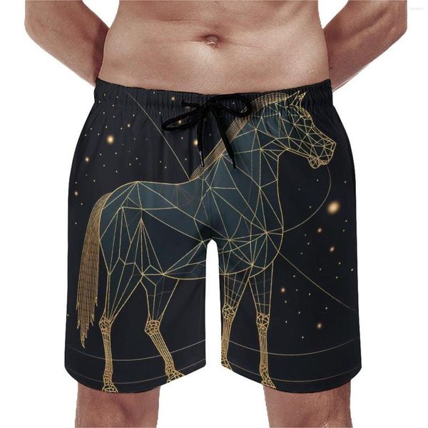 Pantaloncini da uomo Horse Board Summer Astro Geometry Arte minimalista Pantaloni corti da spiaggia vintage Sport Surf Costume da bagno personalizzato ad asciugatura rapida